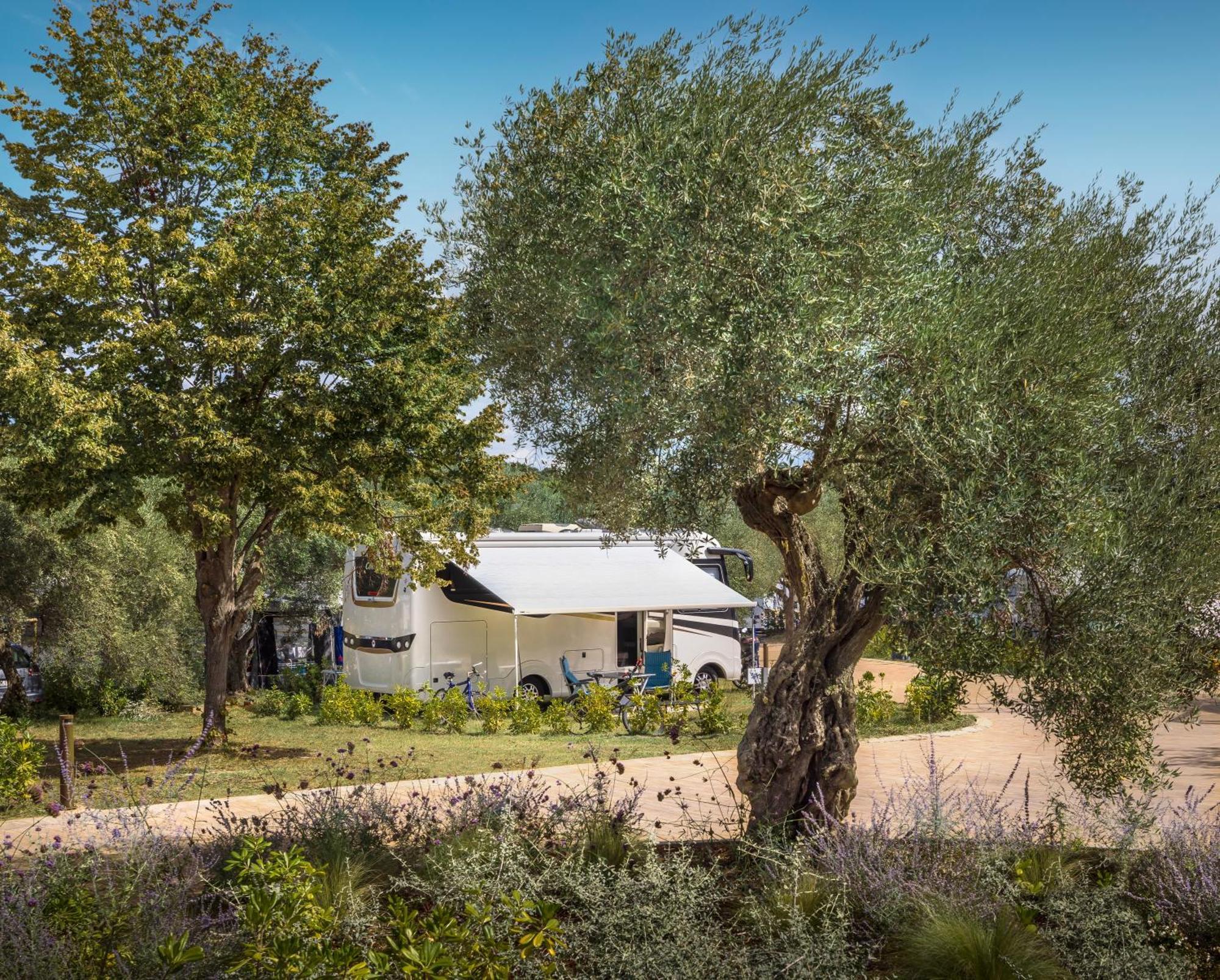Maistra Camping Koversada Uncovered Naturist Pitches ヴルサル エクステリア 写真